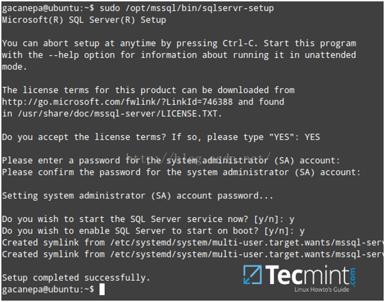 如何在Linux上安装和使用MS SQL Server