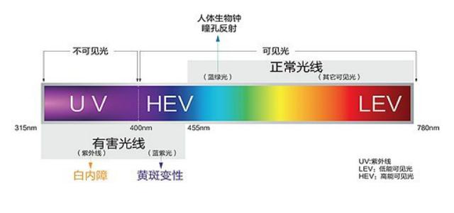 职前教育市场及产品分析