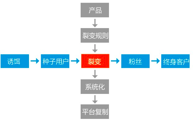 从增长黑客到流量池：微信生态下的裂变玩法全拆解