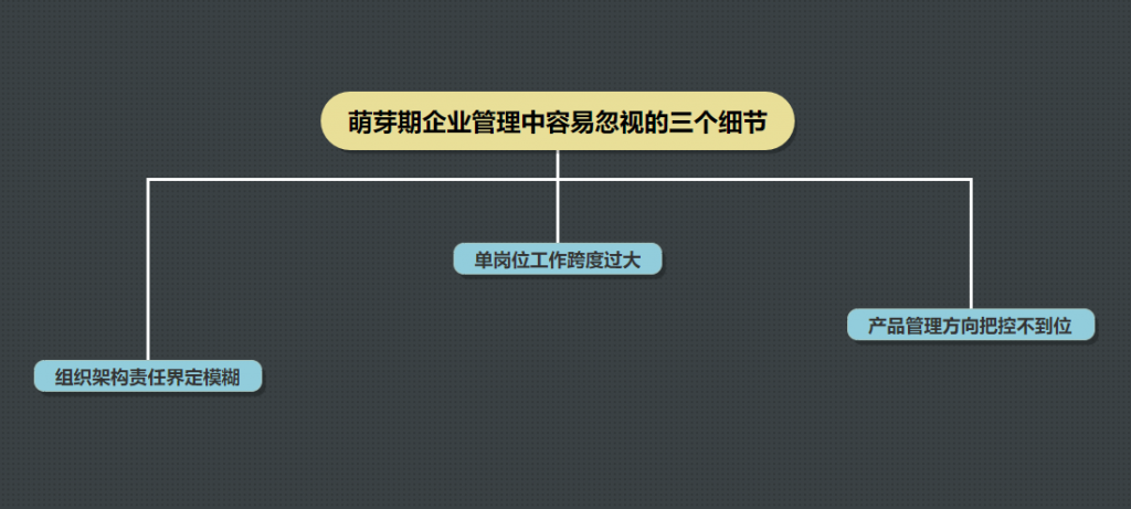 企业成长路径-萌芽篇：细节至上，管理先行