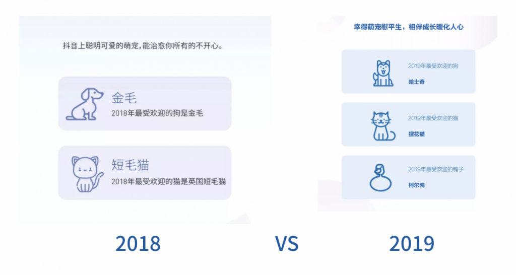 2019年抖音数据报告的分析探究