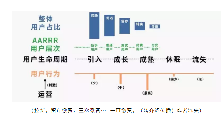 深度调研顶级教培机构，总结了这3大核心真相