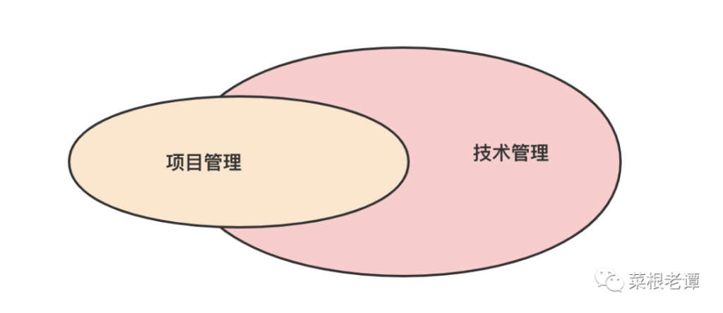 你是一名技术管理者还是项目管理者？