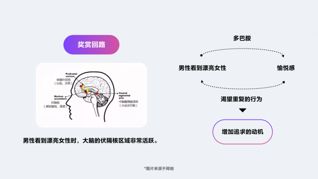 陌生人社交设计引力公式