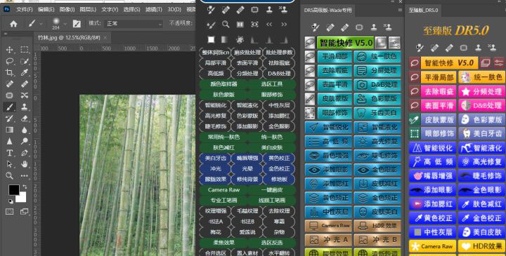2021最新 DR5 白金高级PS扩展插件