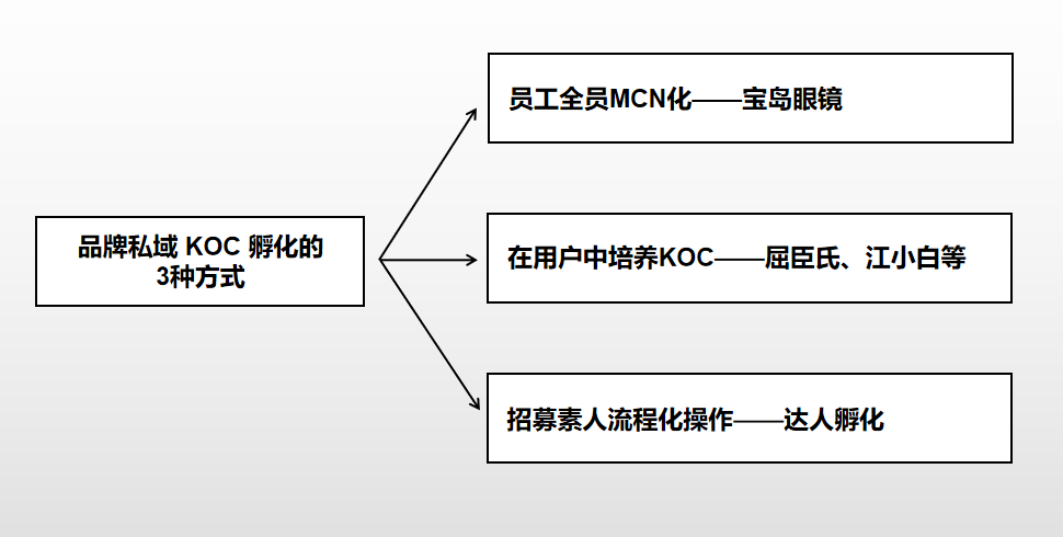 拆解品牌私域KOC孵化的3种打法，总结指数级增长的私域新玩法